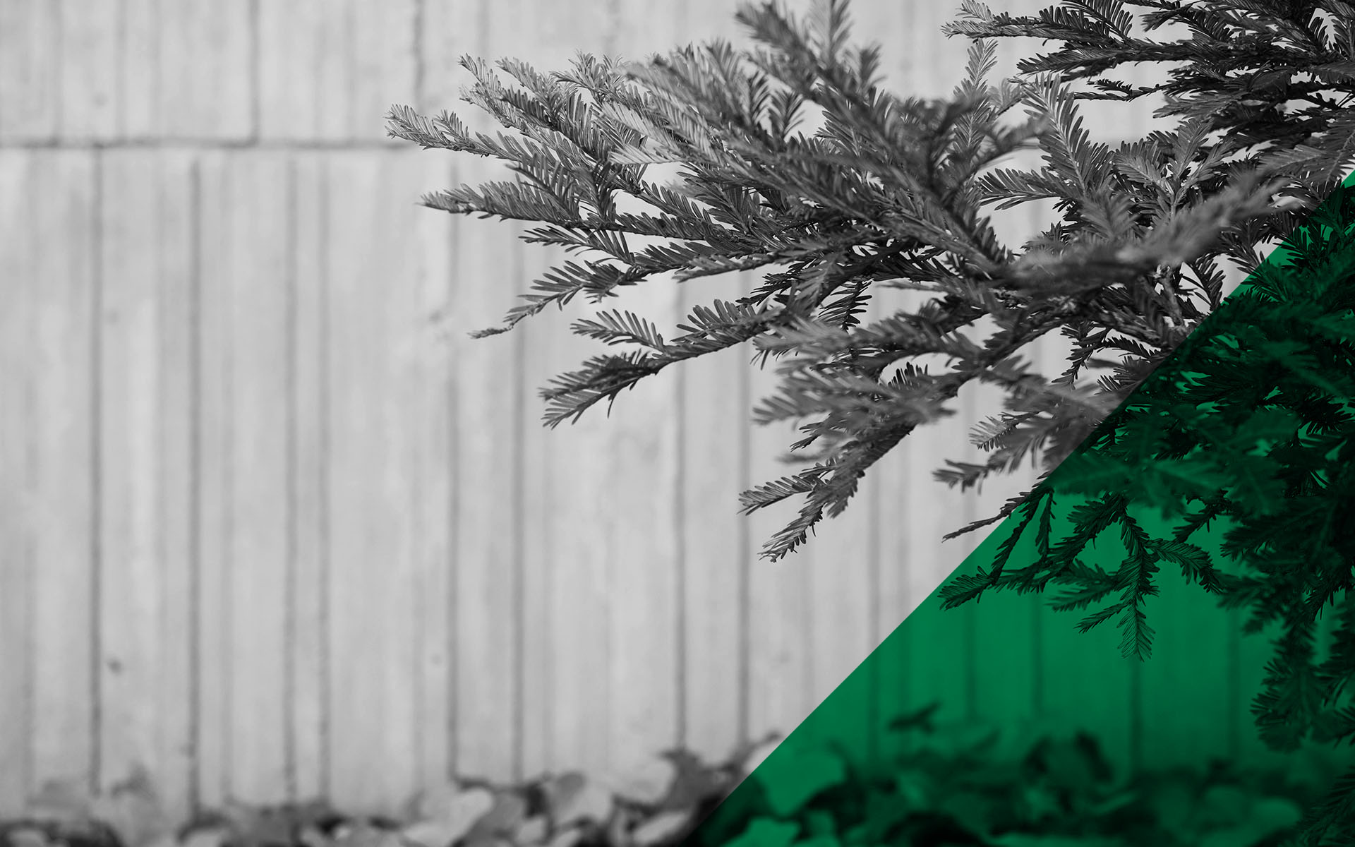 Climate Positive Design - About