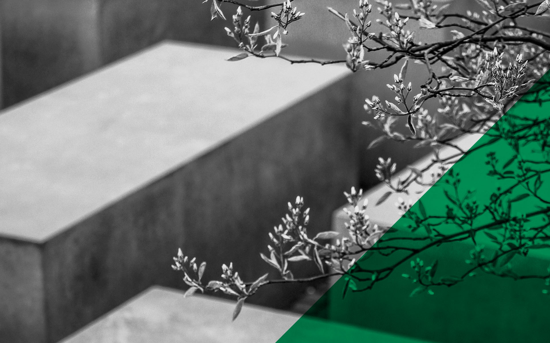 Climate Positive Design - Advocacy