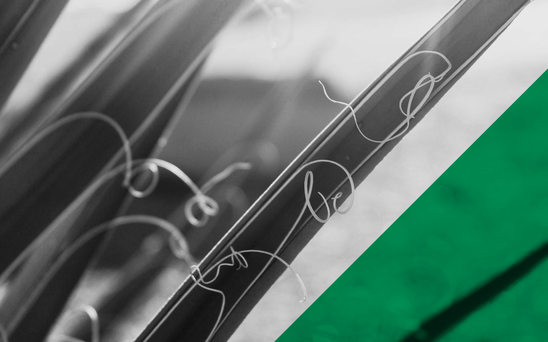 Climate Positive Design - Connect