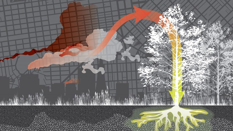 Cmg Climate Positive City Design - Global Climate Action Summit Affiliation Event