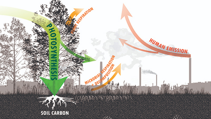 Climate Positive Design At The Global Climate Action Summit - Asla
