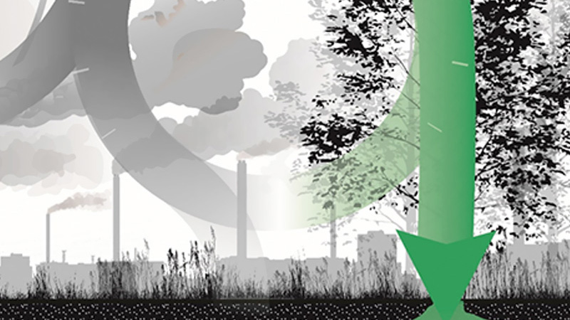 Stop Adding To The Problem, Use Climate Positive Design - Asla (Alt)