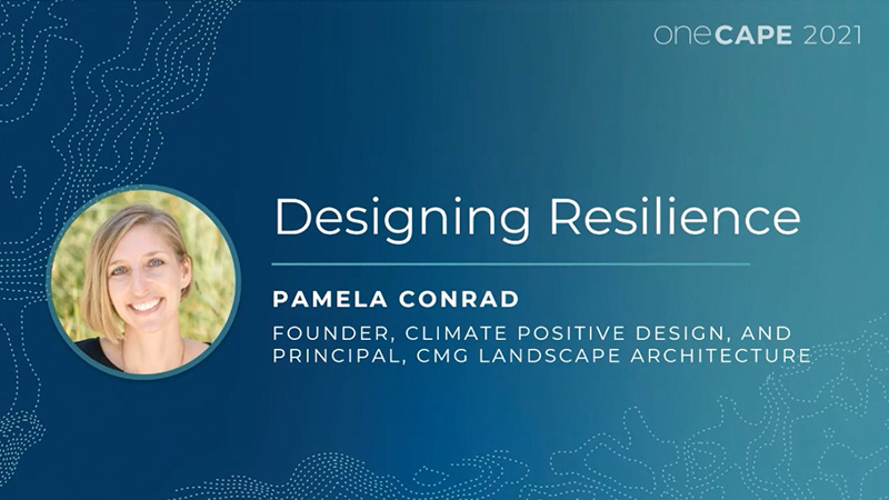 One Cape Designing Resilience