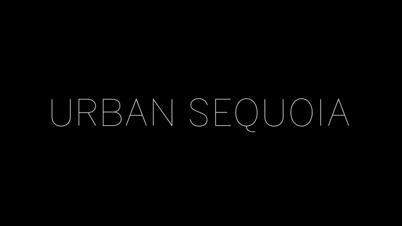 COP 26 – Urban Sequoia