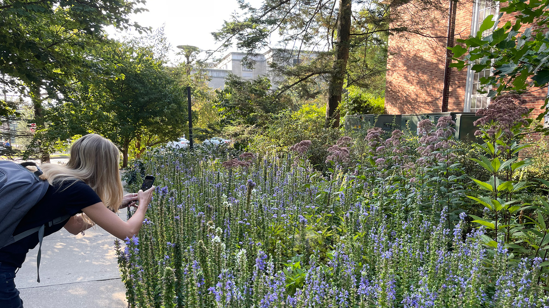 Penn State University - Sustainable Landscape Implementation Plan