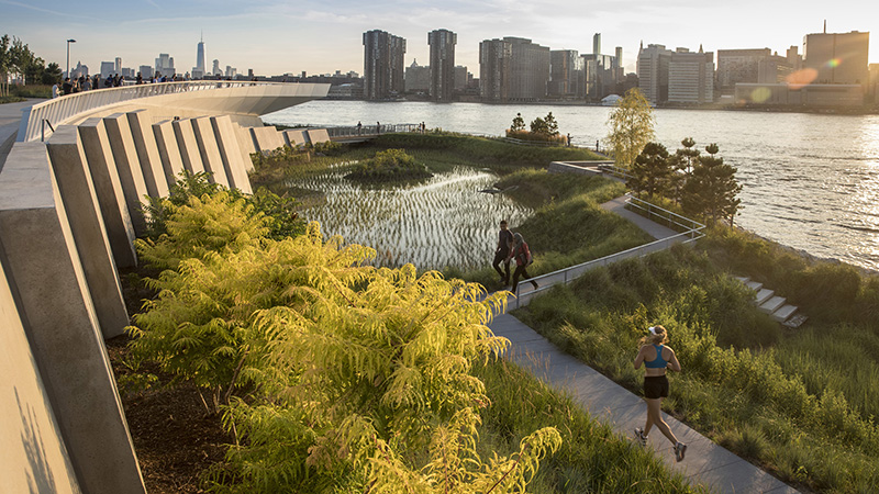 Climate Positive Design Advises on SWA’s Climate Action Plan