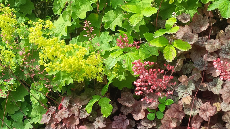 Climate Positive Design: Going Beyond Neutral