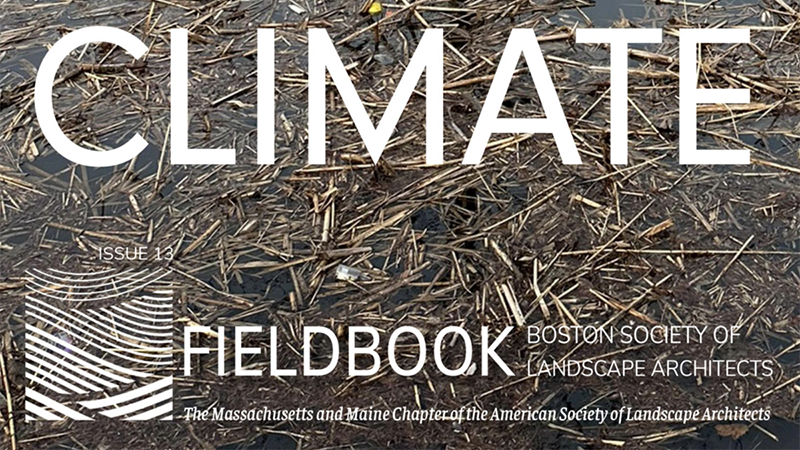 Tools + Tactics: Counting Carbon in the Landscape