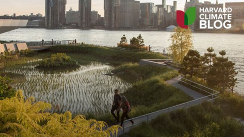 Cost Of Coastal Adaptation Blog Article By The Salata Institute