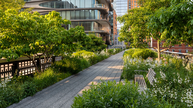 Nature Positive Cities